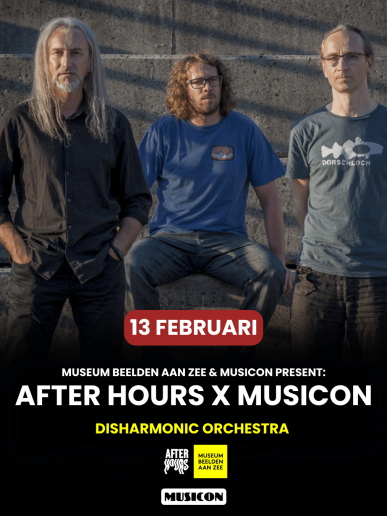 Disharmonic Flyer-thehaag